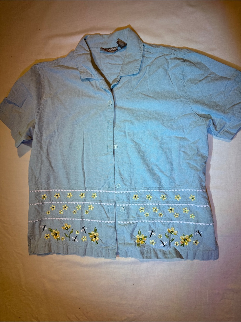 Jane Ashley Sky Blue Button-Down Shirt